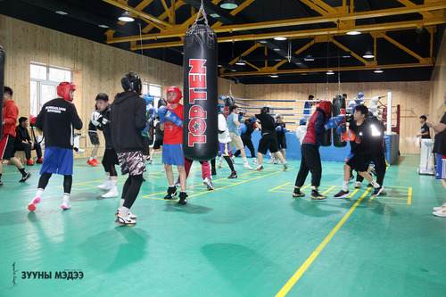 Бокс оюун ухааны тулаан